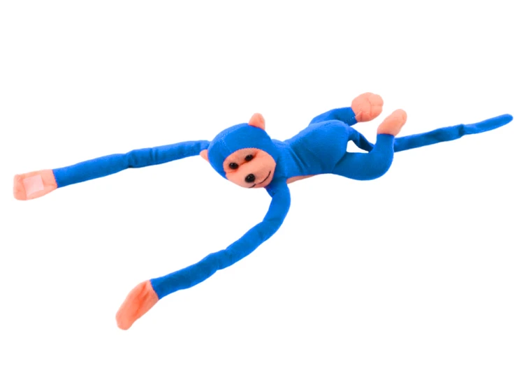 16815_3.png