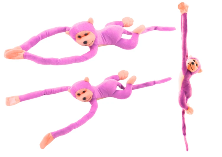 16816_1.png