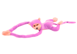 16816_2.png