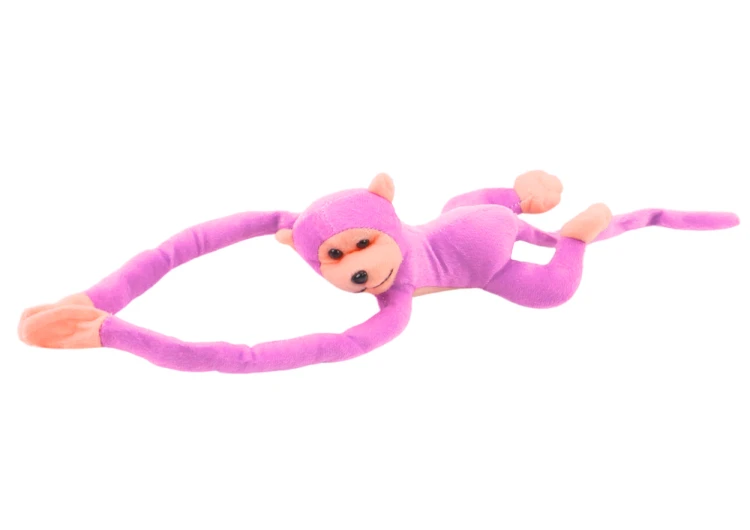 16816_2.png