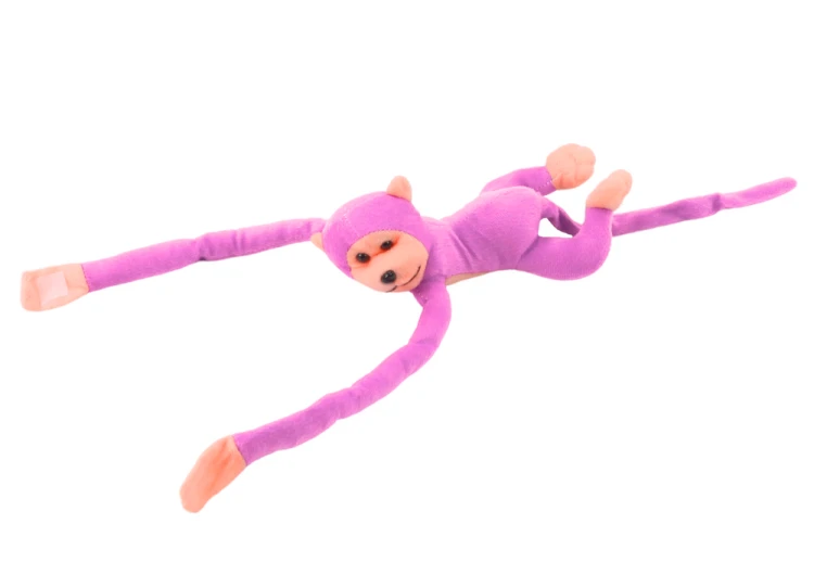 16816_3.png