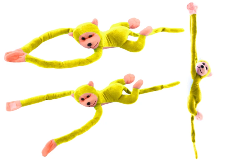 16821_1.png