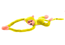 16821_2.png