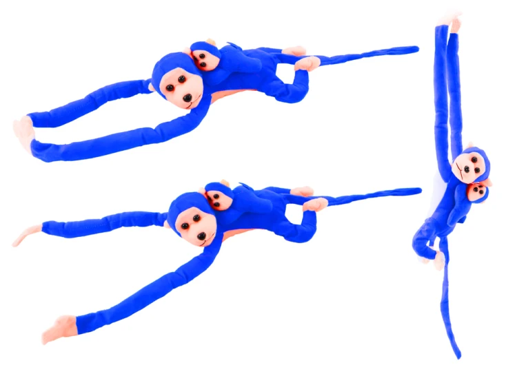 16825_1.png