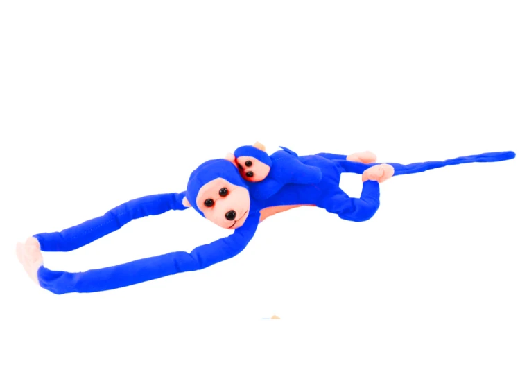 16825_2.png
