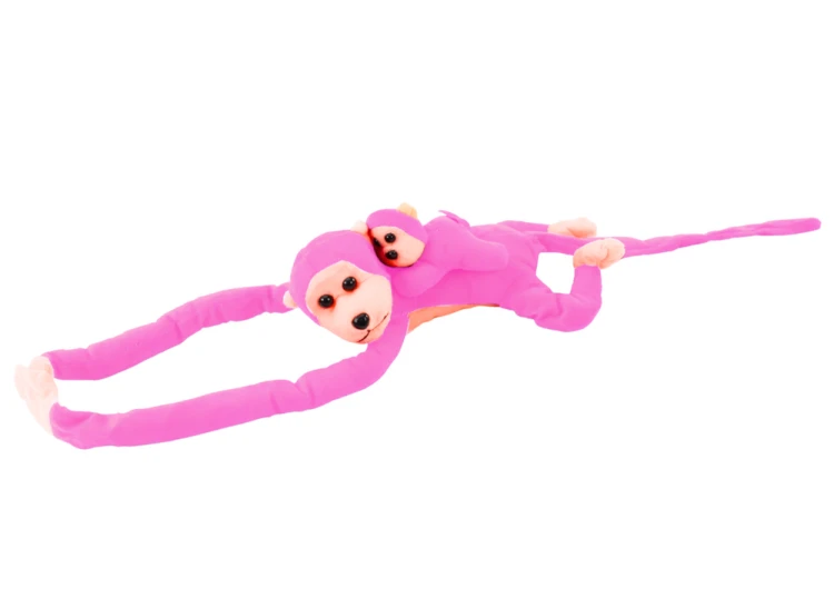 16826_2.png