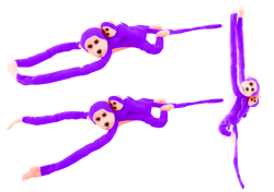 16829_1.png