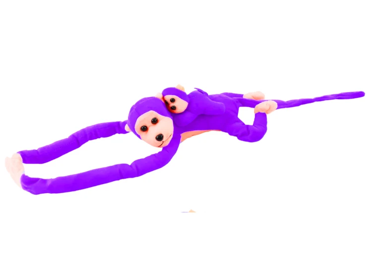 16829_2.png
