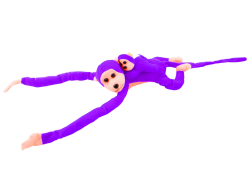 16829_3.png