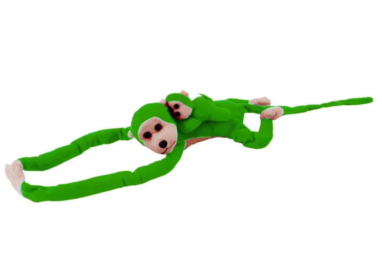 16830_2.png
