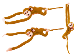 16833_1.png