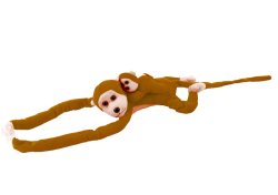16834_2.png