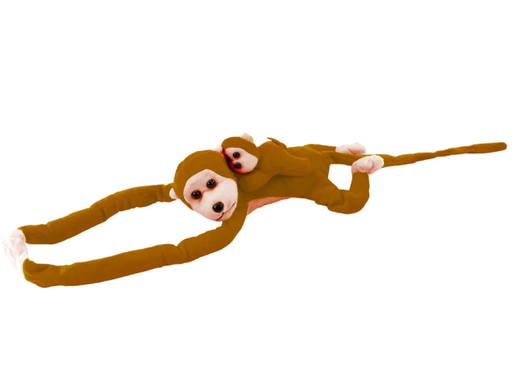 16834_2.png