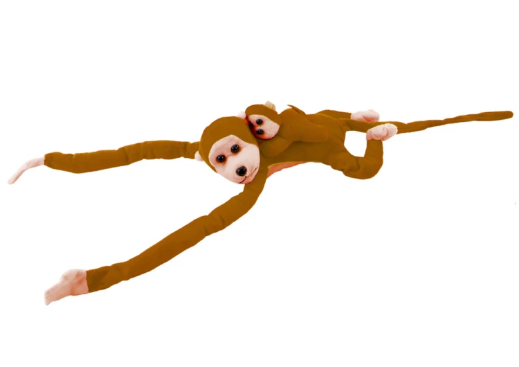 16834_3.png
