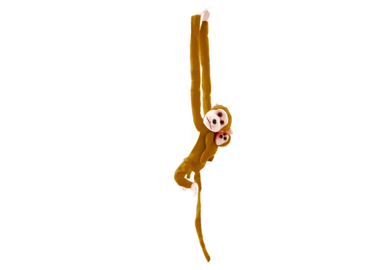 16834_4.png