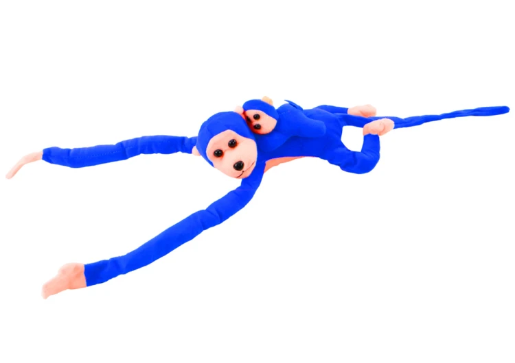 16835_3.png