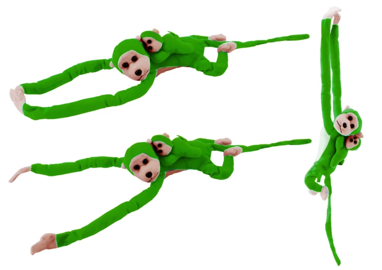 16840_1.png