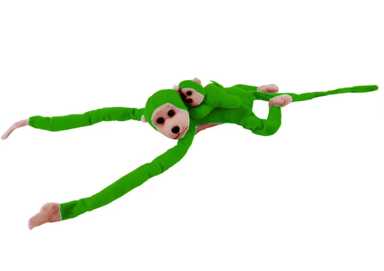 16840_3.png