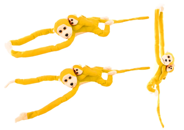 16841_1.png