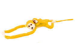 16841_2.png
