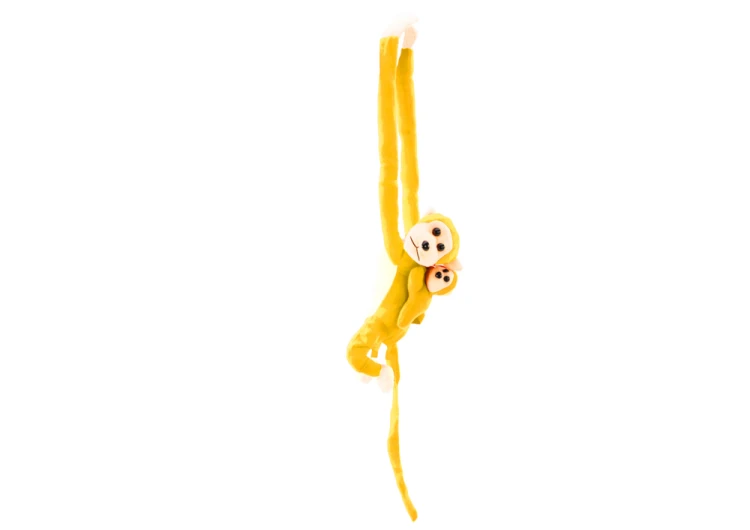 16841_4.png