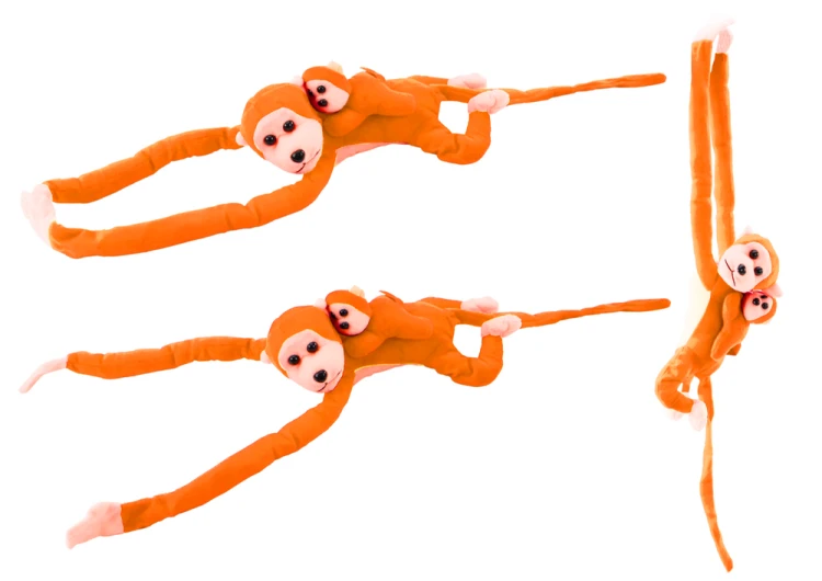 16842_1.png