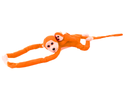 16842_2.png