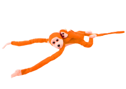 16842_3.png