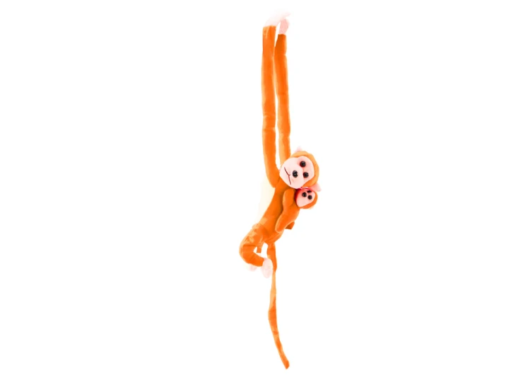16842_4.png