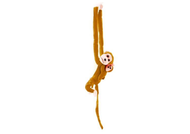 16843_4.png
