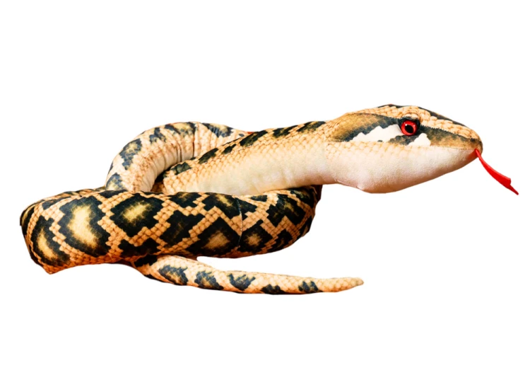 16464_1.png