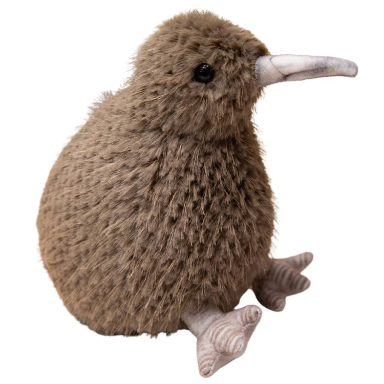 22172_1.jpg