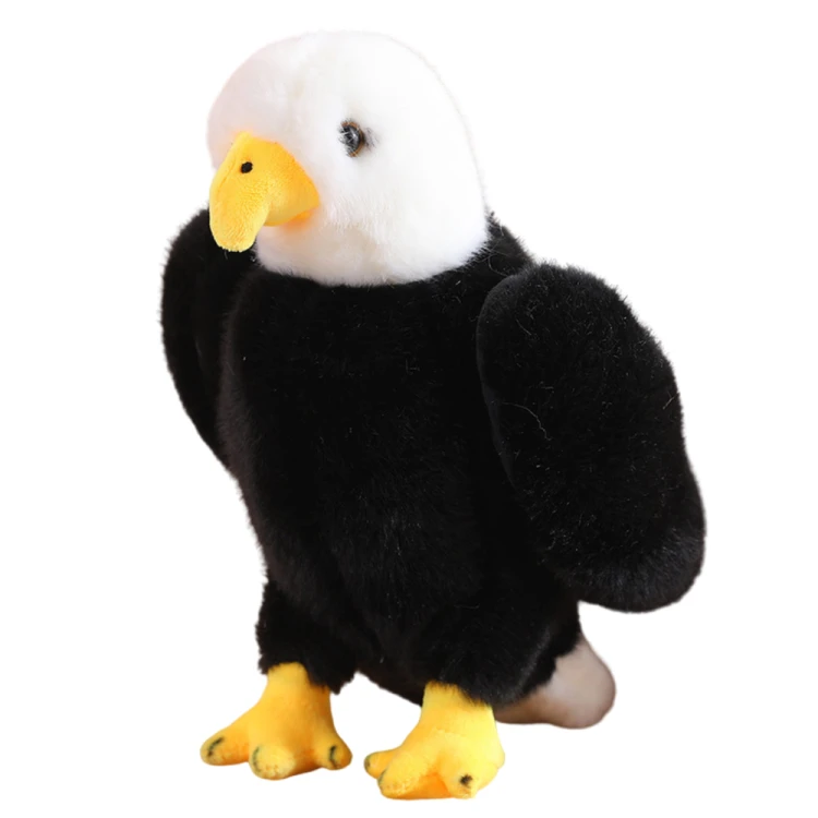 22179_1.png