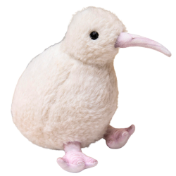 13843_1.png