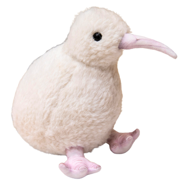 13843_1.png