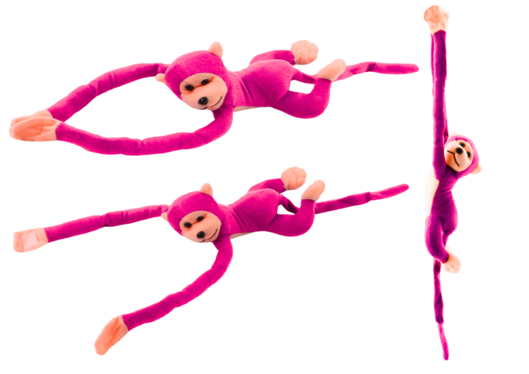 16817_1.png