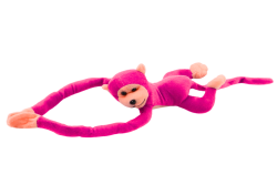 16817_2.png