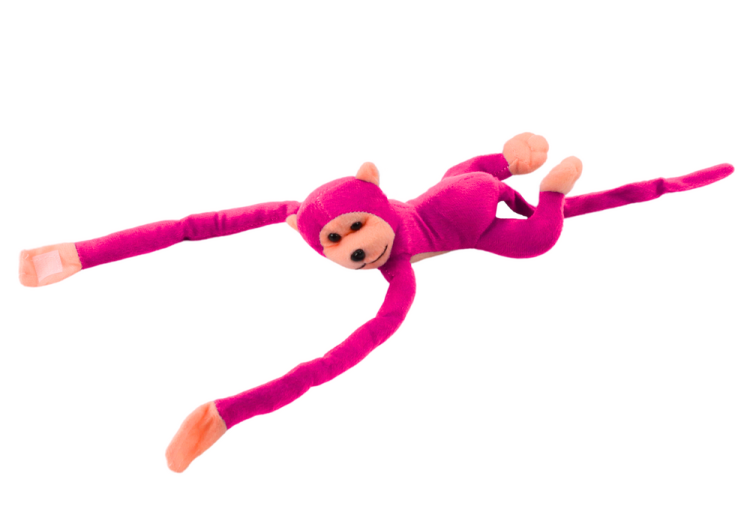 16817_3.png