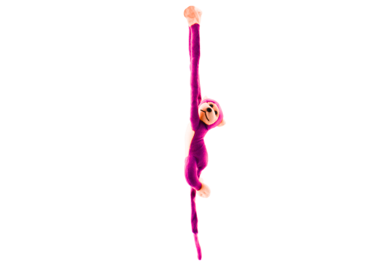 16817_4.png