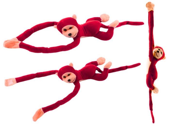 16818_1.png