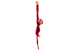16818_4.png