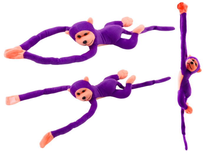 16819_1.png