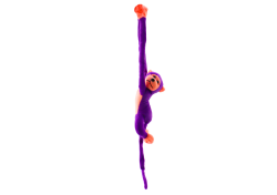 16819_4.png