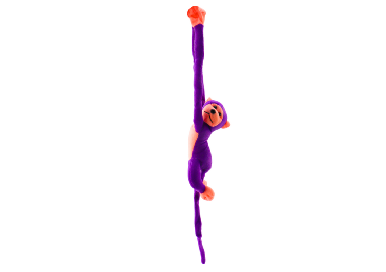 16819_4.png