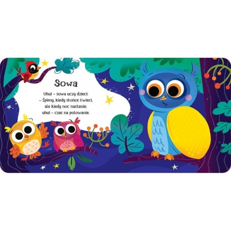 Przejdź do produktu Sensoryczna książeczka dla niemowląt „Zwierzęta leśne — Zobacz, dotknij, poczuj”