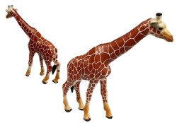5383_5.jpg