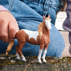 65069fab4d7d529d66e345b2a46b2c8a.png