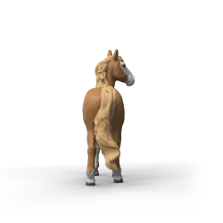eb6864087537185e452ddc58455f560c.png