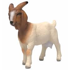 Przejdź do produktu Koza rasy Boer Schleich – figurka zwierzęcia gospodarskiego dla dzieci