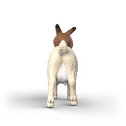60c28eba811bf04de3824dff5a007361.png